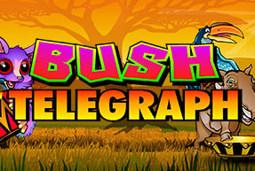BushTelegraph
