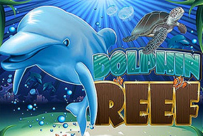 DolphinReef