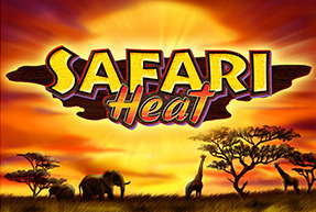 SafariHeat